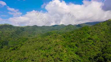 山景观热带雨林空中视图山<strong>岛吕宋岛</strong>菲律宾